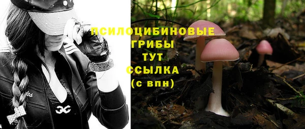 кокаин перу Горняк