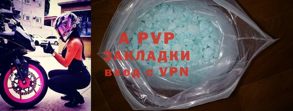 Альфа ПВП Гусев