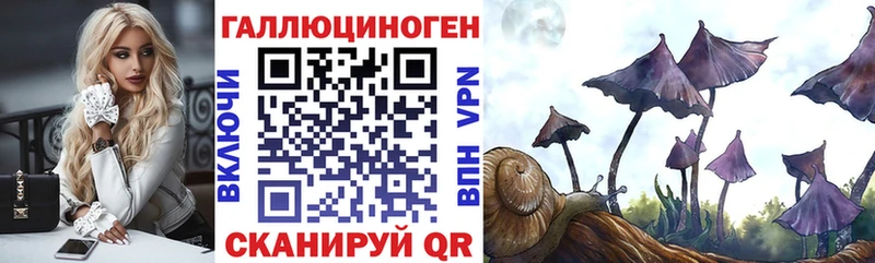 Купить закладки  Губкинский  Псилоцибиновые грибы Psilocybine cubensis 
