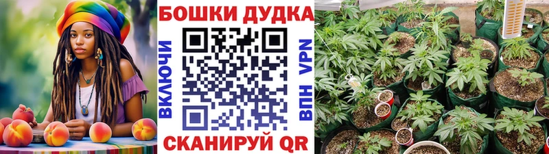 МАРИХУАНА VHQ  Купить  Губкинский 